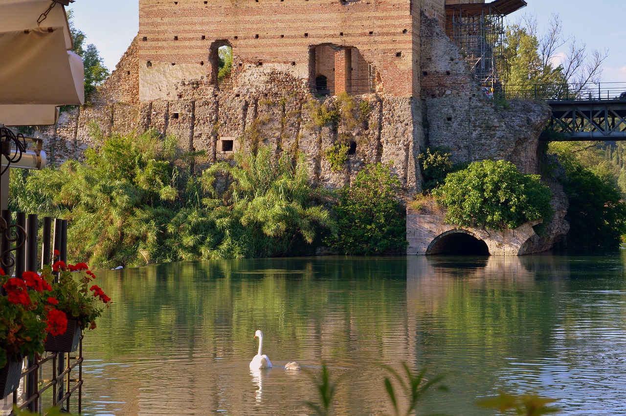 Image - lake swans flowers castle