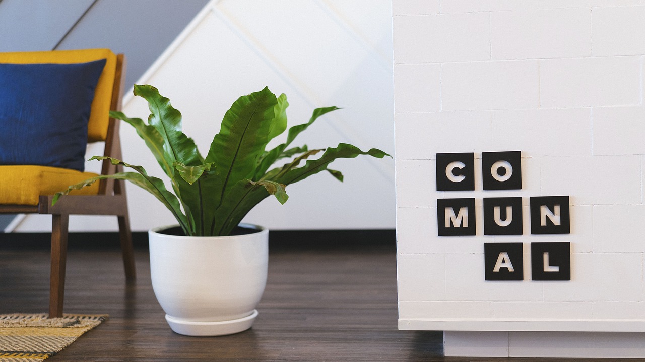 Image - living room pillow sofa interior