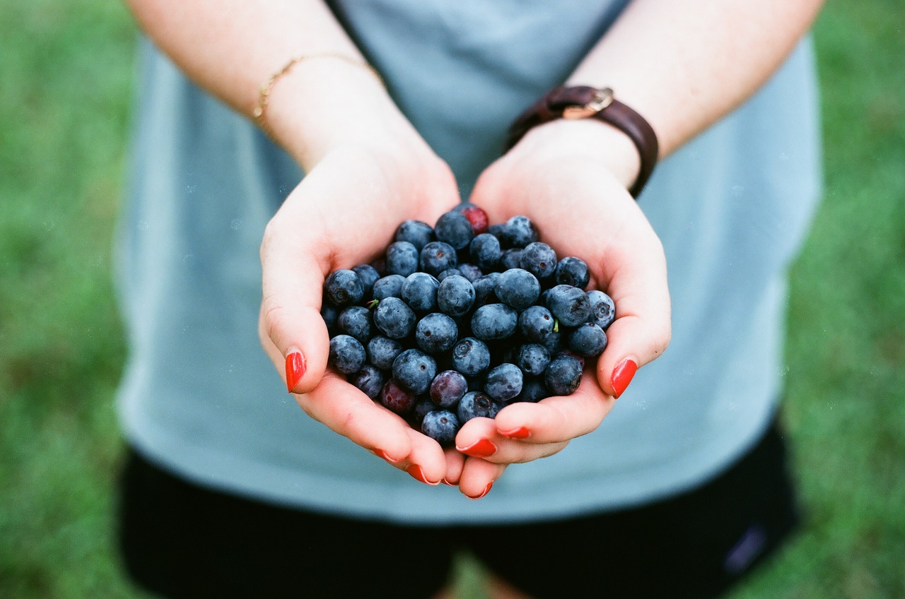 Image - blueberry fruit food hand palm