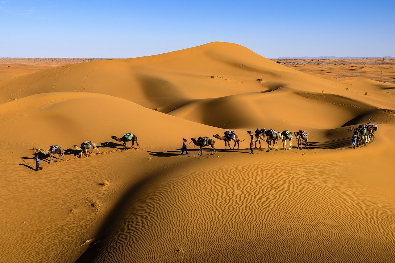 Image - desert landscape sunny highland