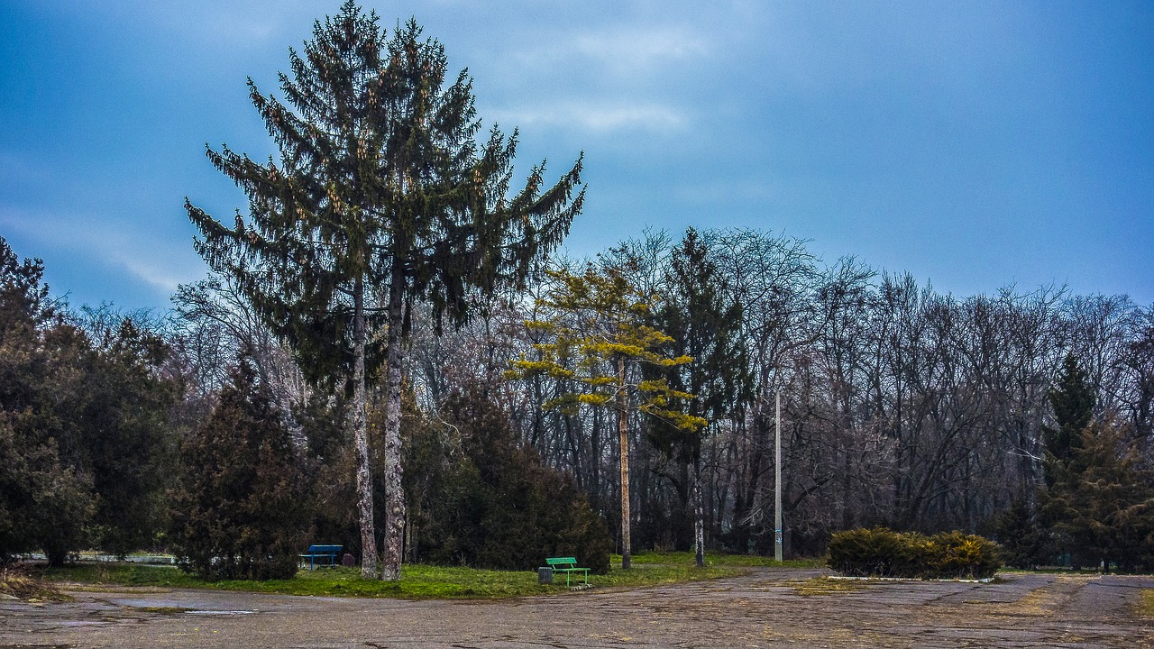 Image - park odessa trees benches