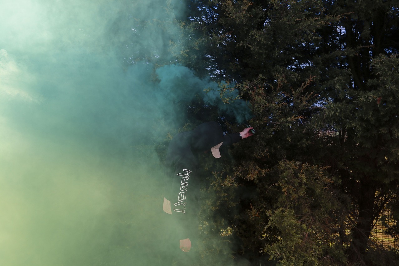 Image - green trees plant nature smoke