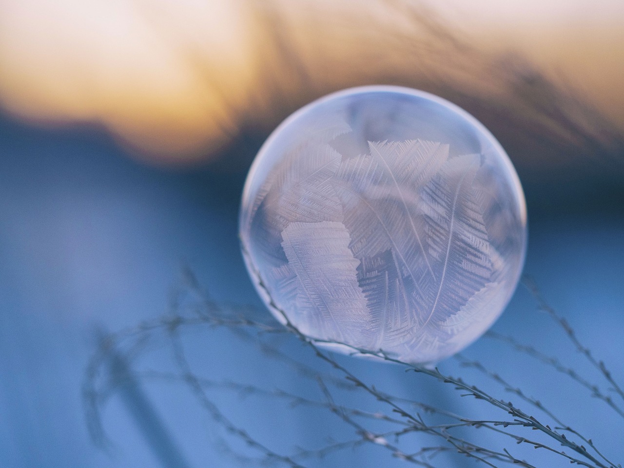 Image - feather dream catcher nature leaf