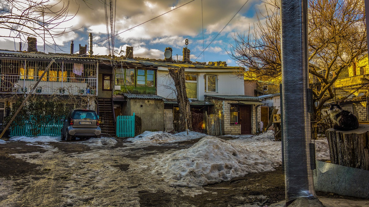 Image - odessa yard snow cat patio