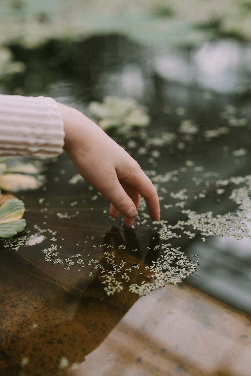 Image - hand flower water blur