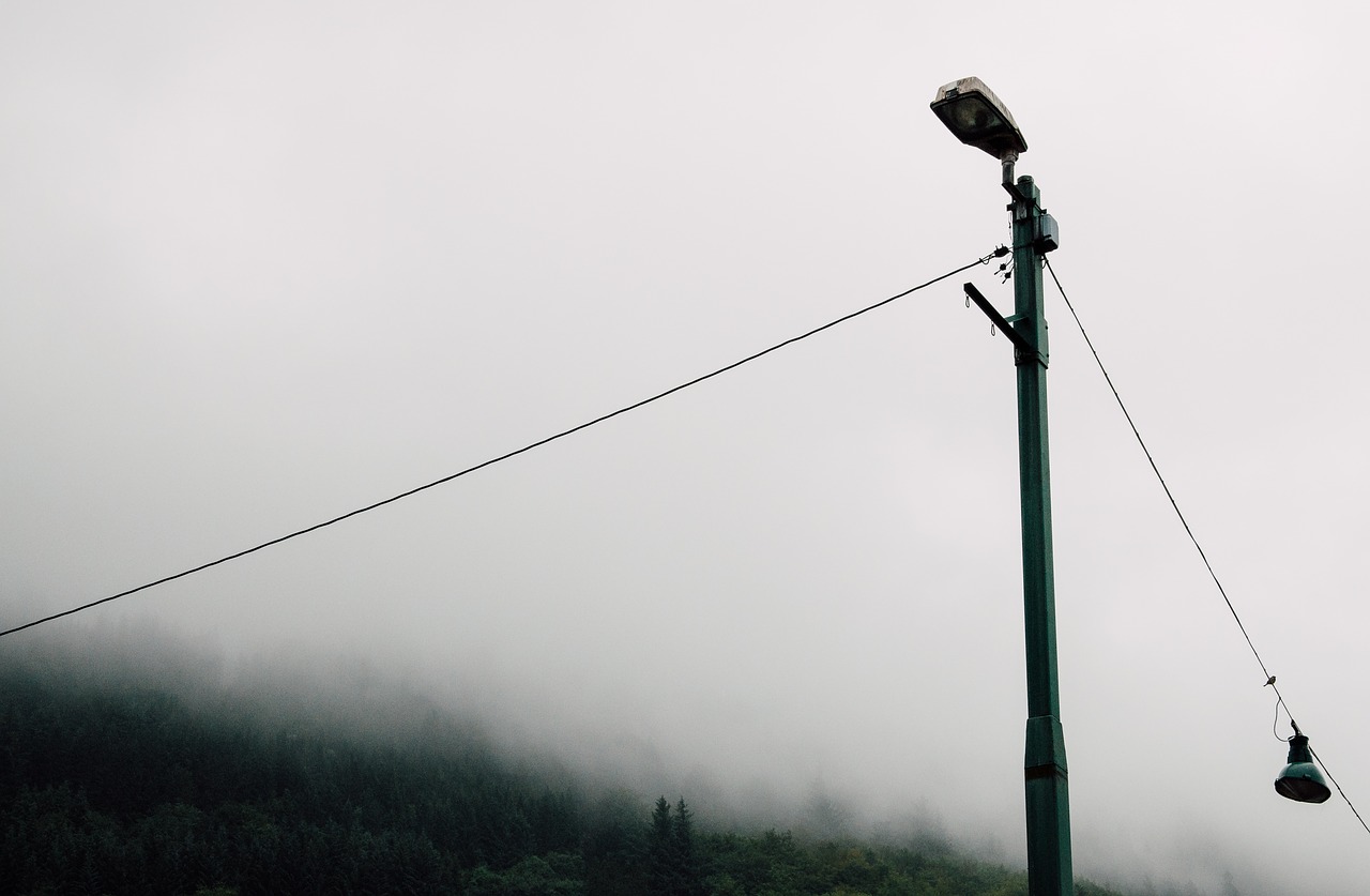 Image - pole wire trees plant