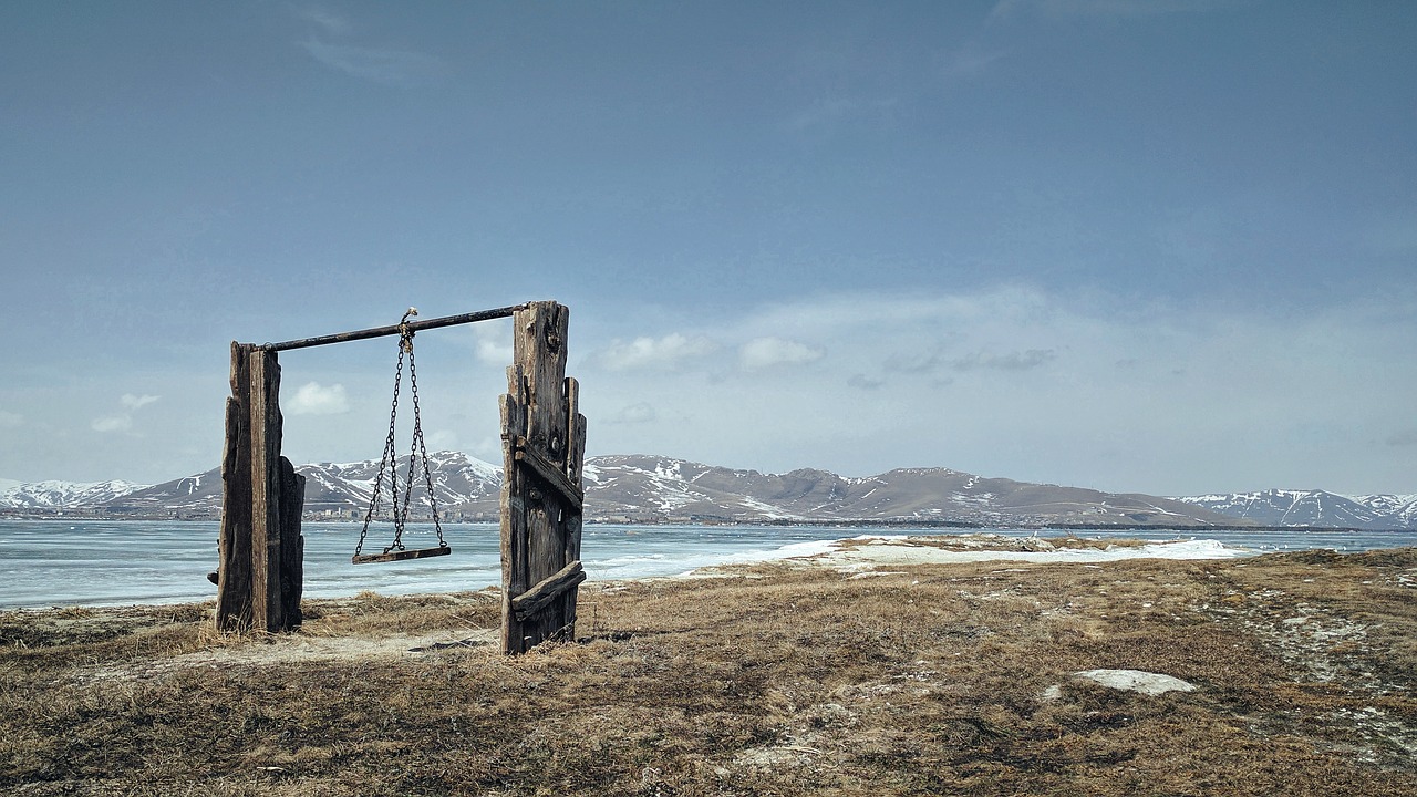 Image - grass coast sea water wood swing