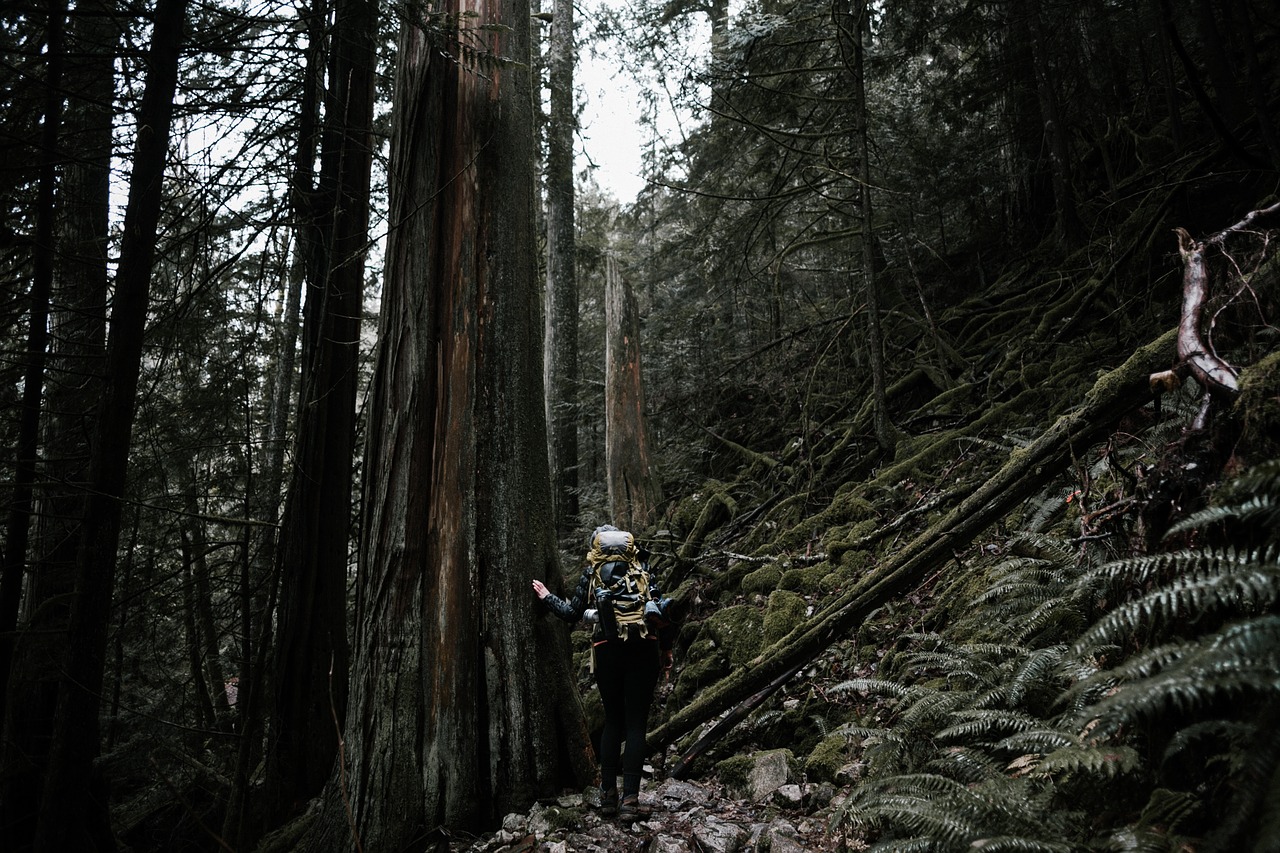 Image - people girl woman climbing hiking