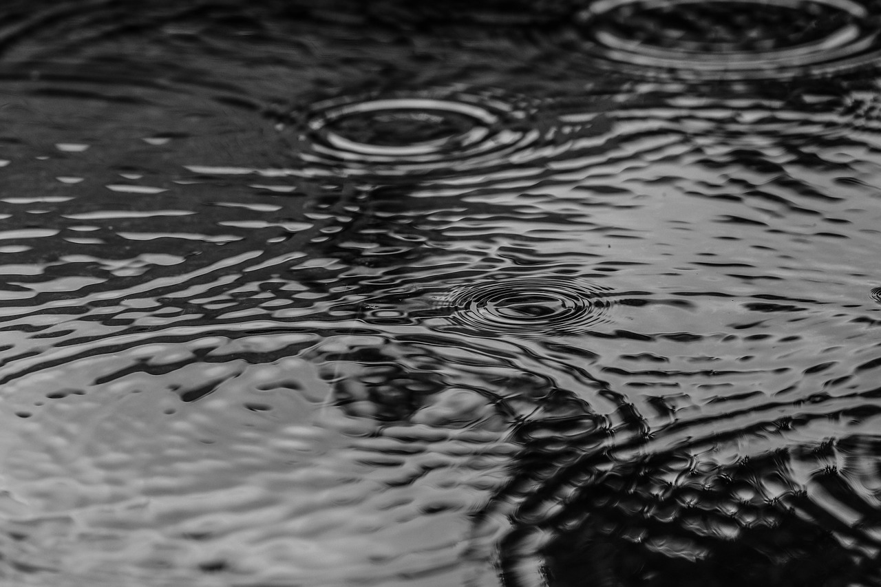 Image - puddle water rain nature