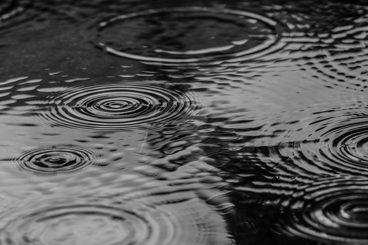 Image - puddle water rain nature