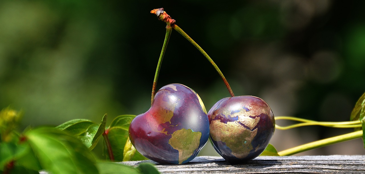 Image - cherries globe world earth style