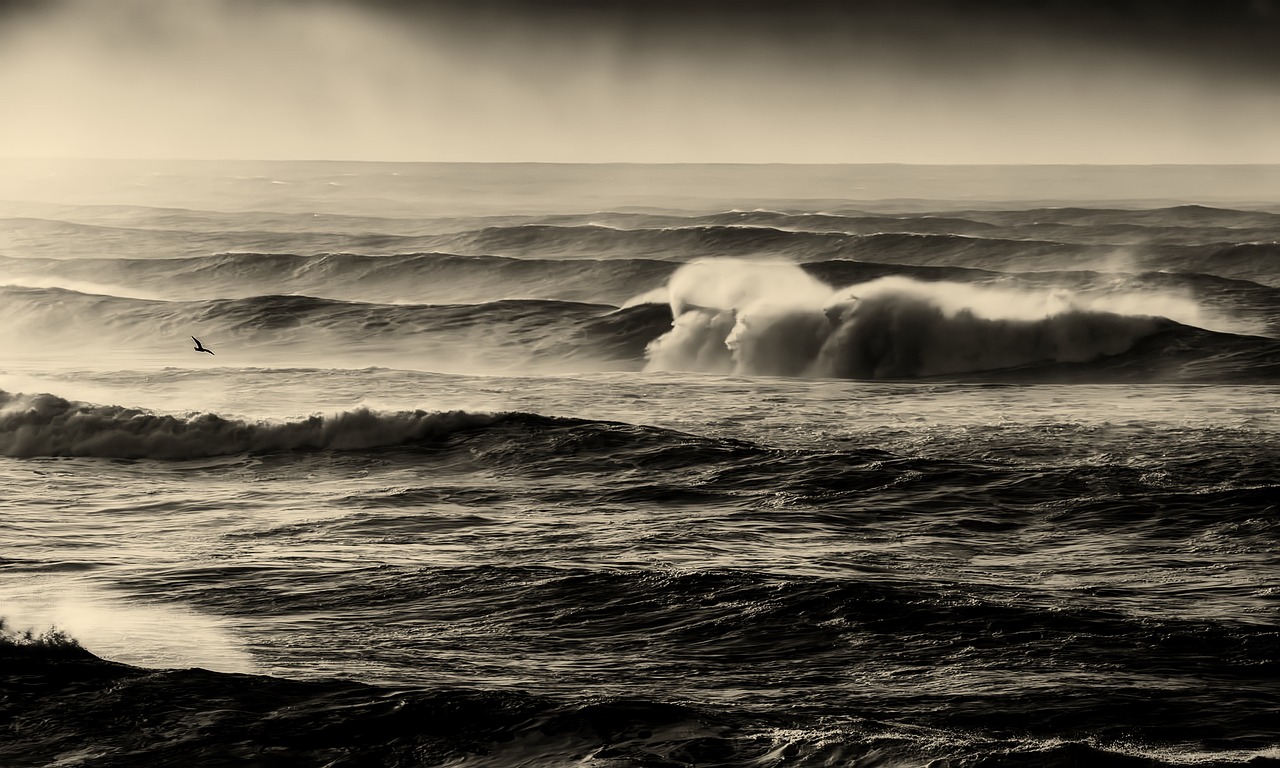 Image - sea ocean waves sunset sunrise