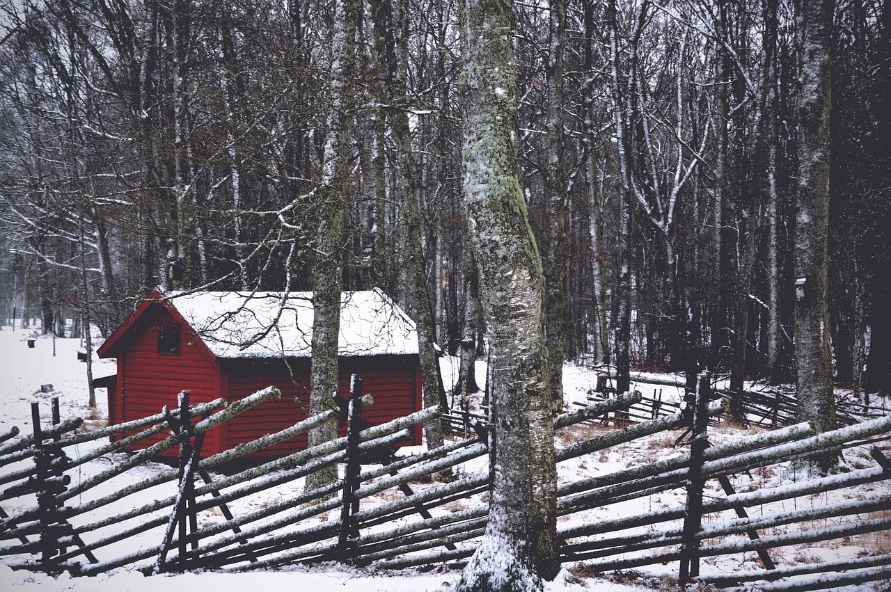 Image - house trees snow winter fence