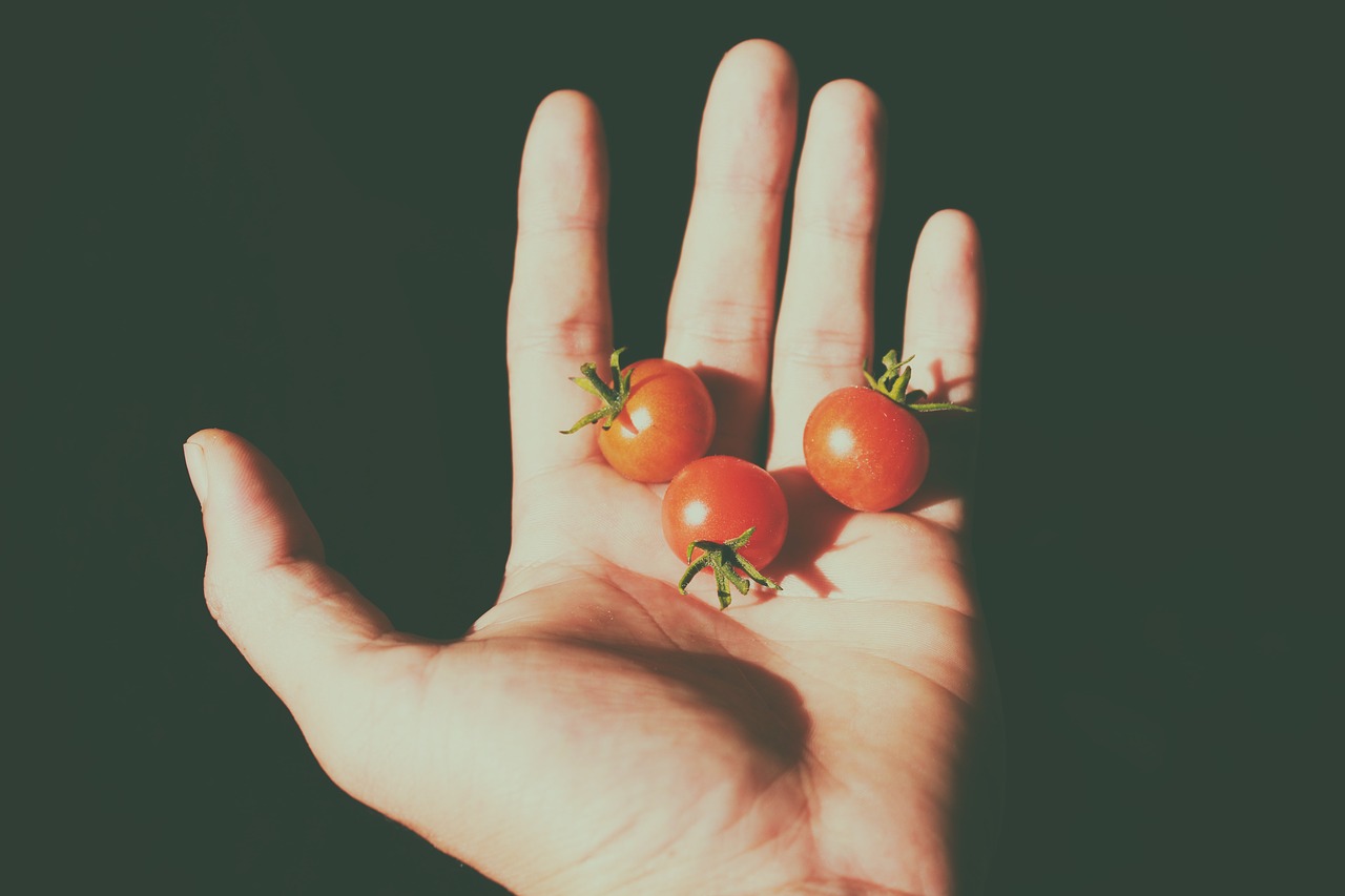 Image - tomatoes tiny hand fruits food