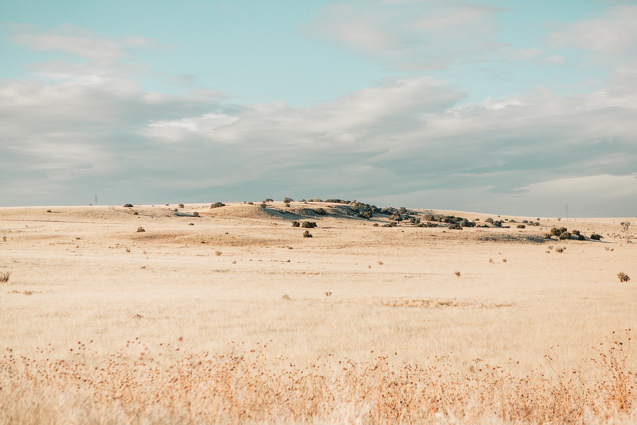 Image - field dry drought highland