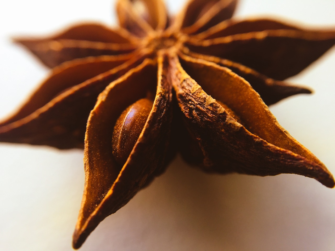 Image - star anise plant