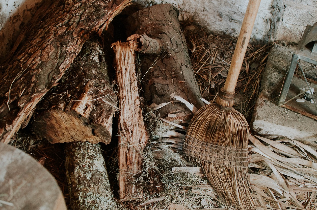 Image - broom trunk log old dry chop