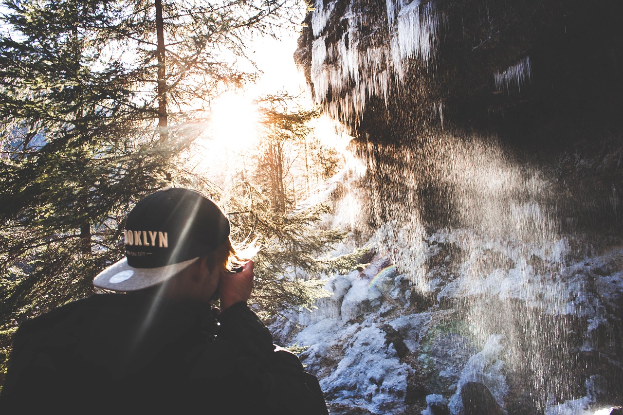 Image - trees plant nature outdoor sunrise