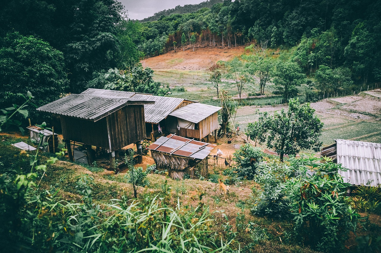 Image - roof houses trees crops plants