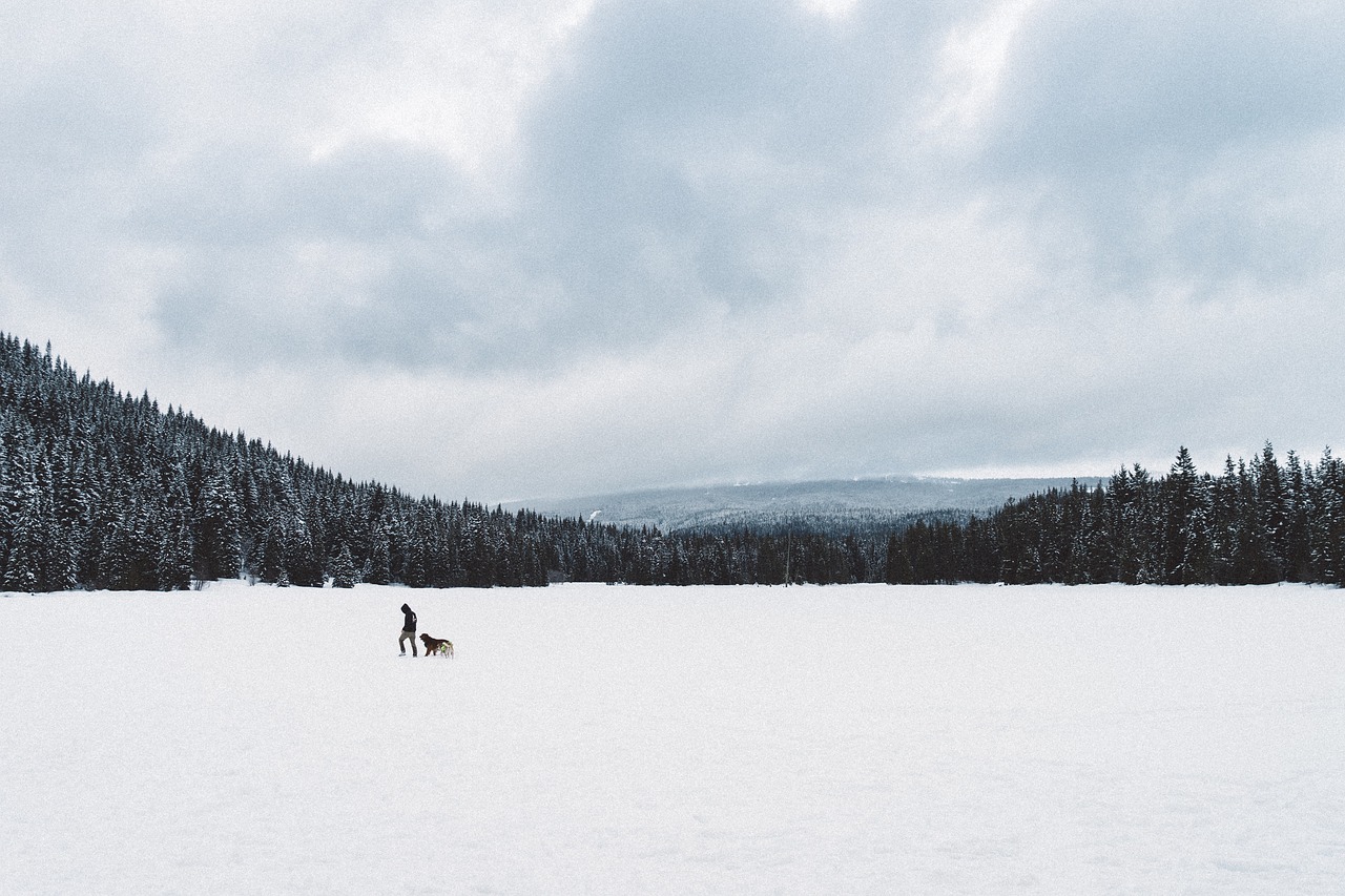 Image - mountain landscape man dog animal