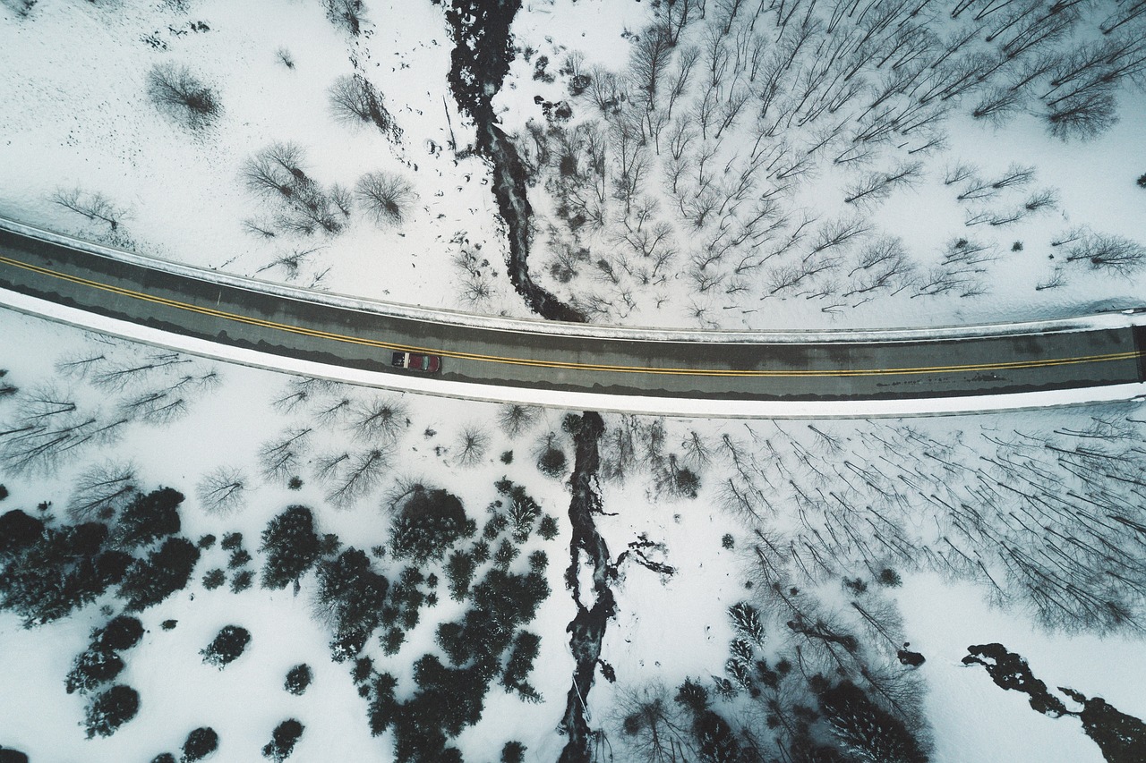 Image - aerial trees snow path road lane