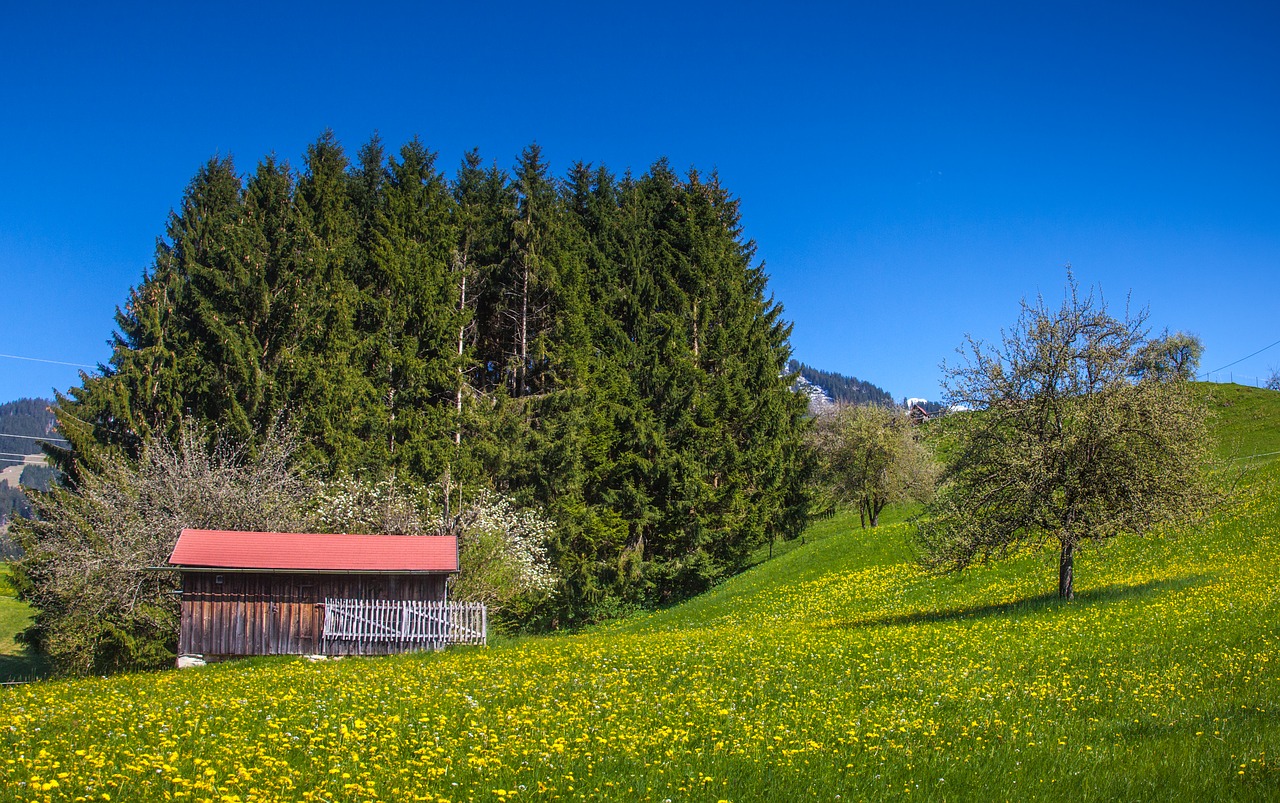 Image - allgäu bavaria nature alm