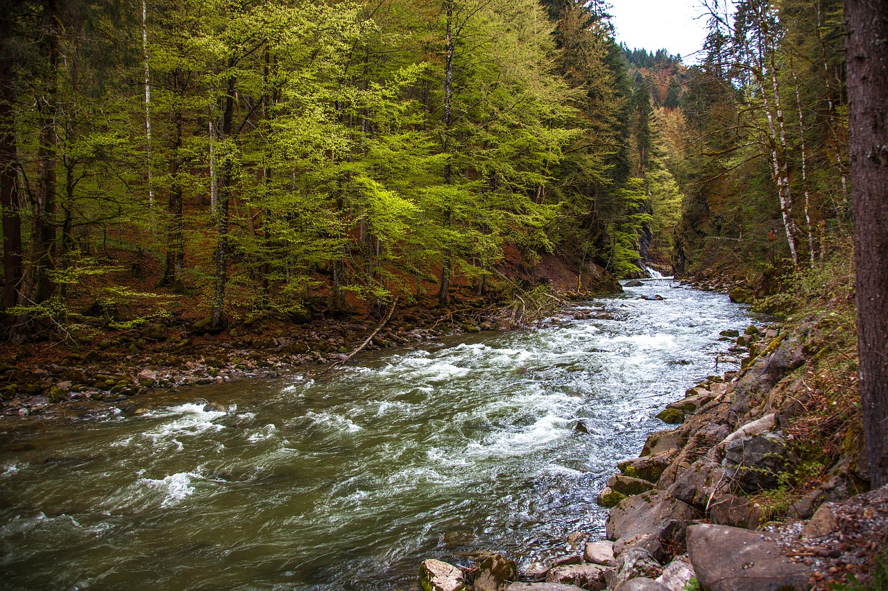Image - breitachklamm bavaria gorge
