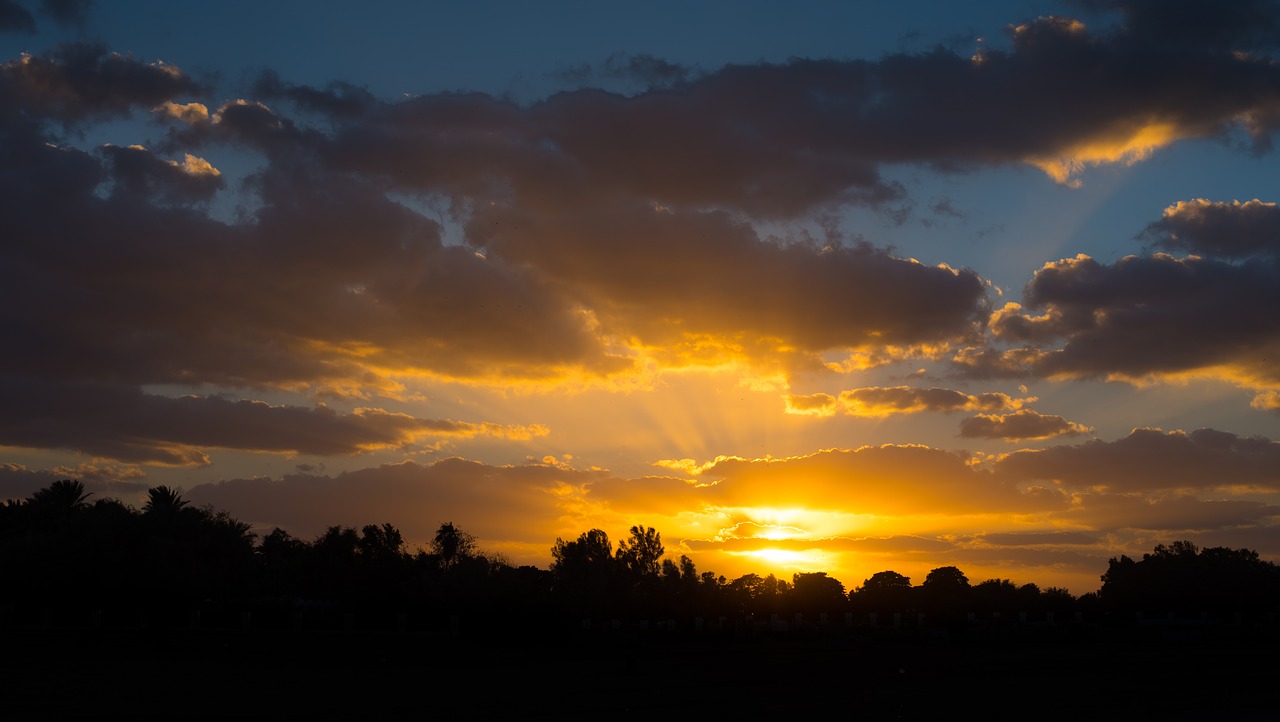 Image - sky dark orange black trees