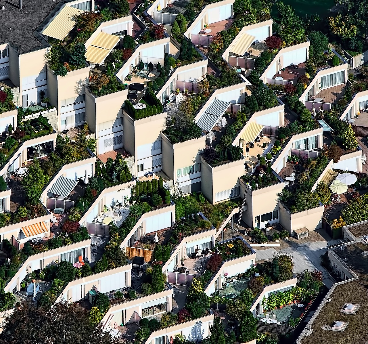 Image - aerial view houses green plant