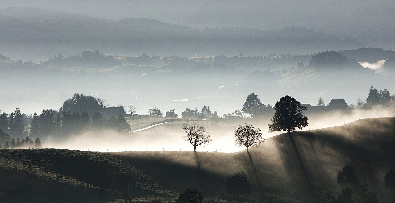 Image - mountain highland landscape trees