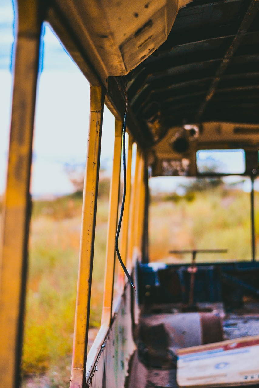 Image - nature green grass bus old