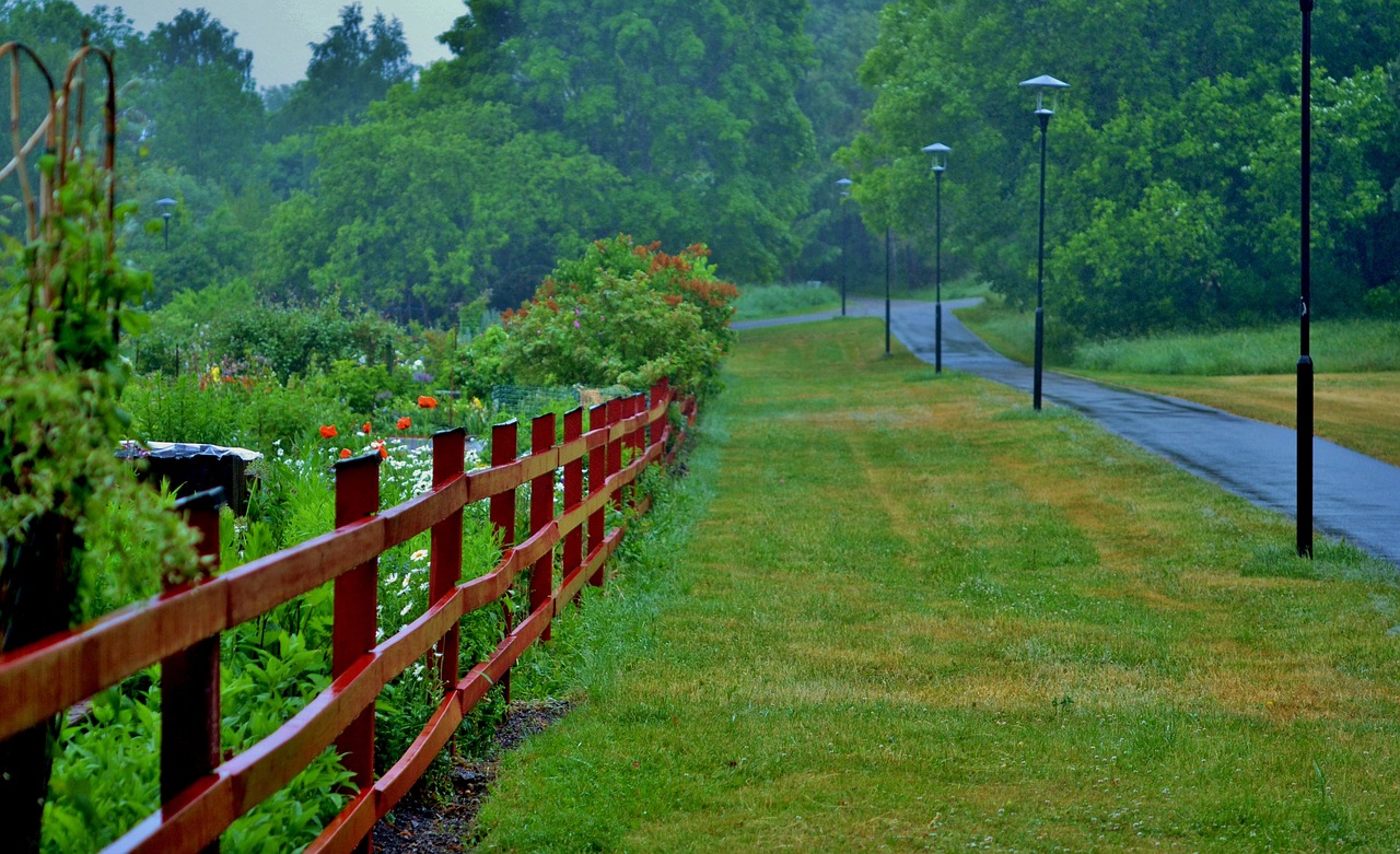 Image - fence forest natur landscape