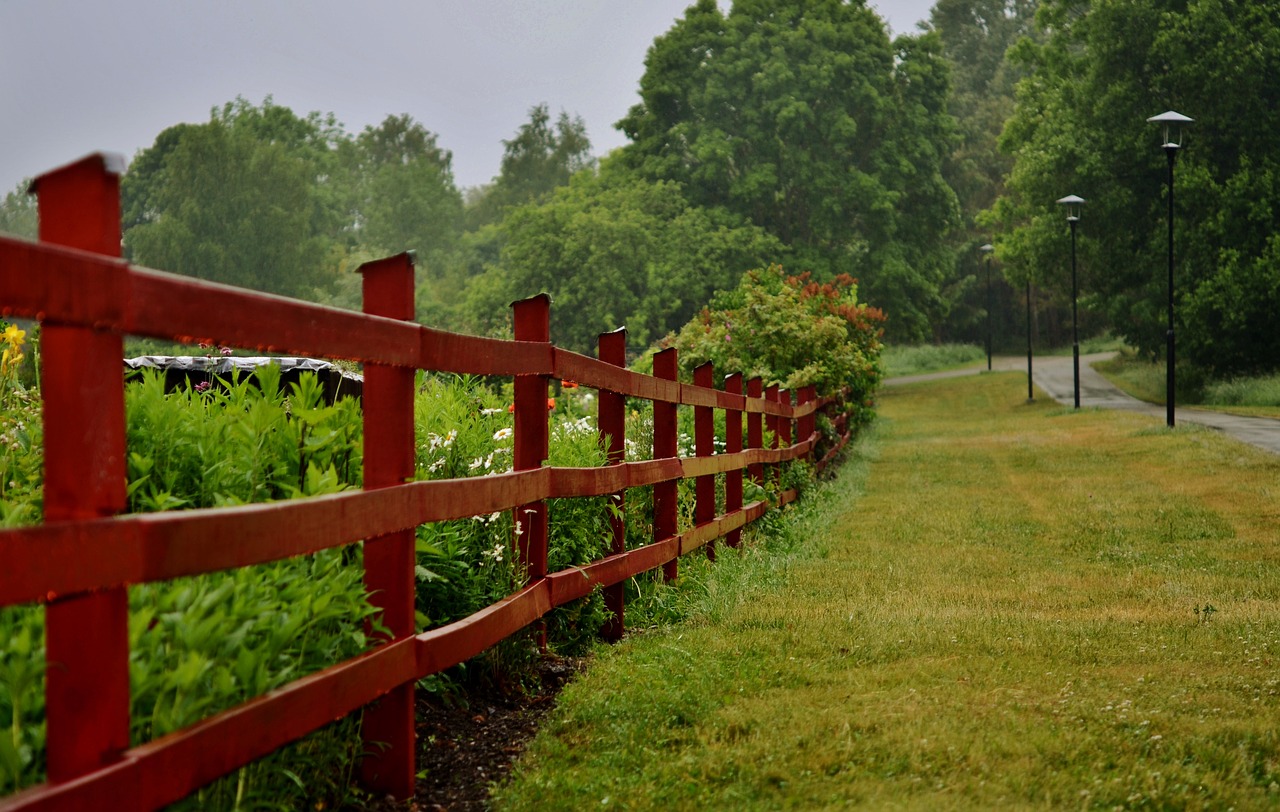 Image - fence forest natur landscape