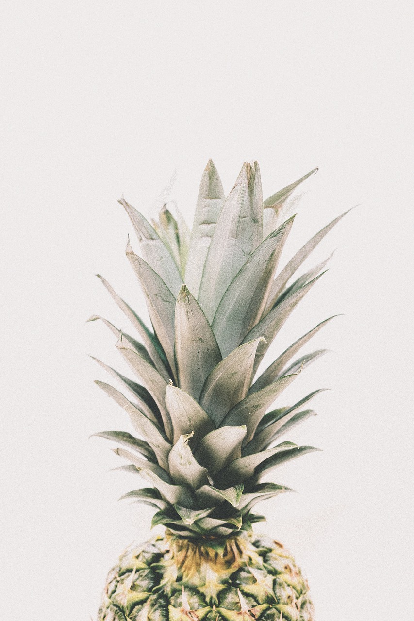 Image - pineapple dessert appetizer fruit