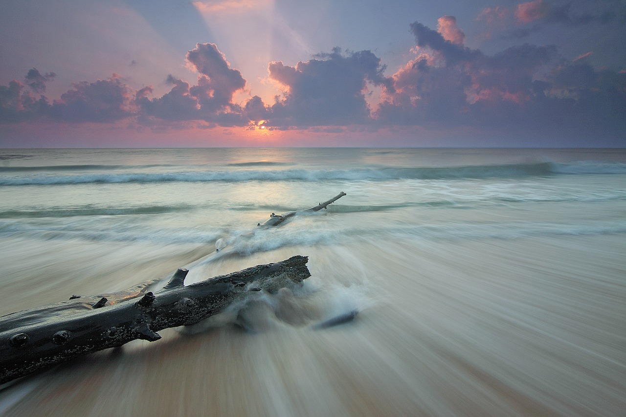 Image - sea water beach nature sand coast