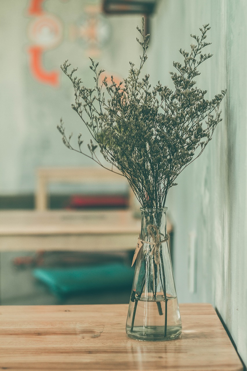 Image - flower plant glass water vase