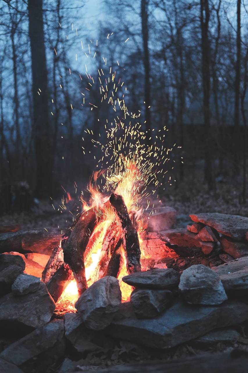 Image - nature fire bonfire camp outdoor