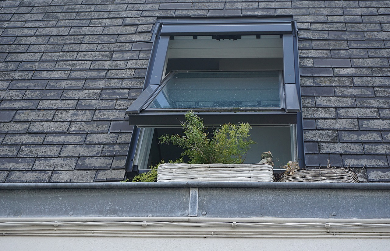 Image - window glass plants roof bricks