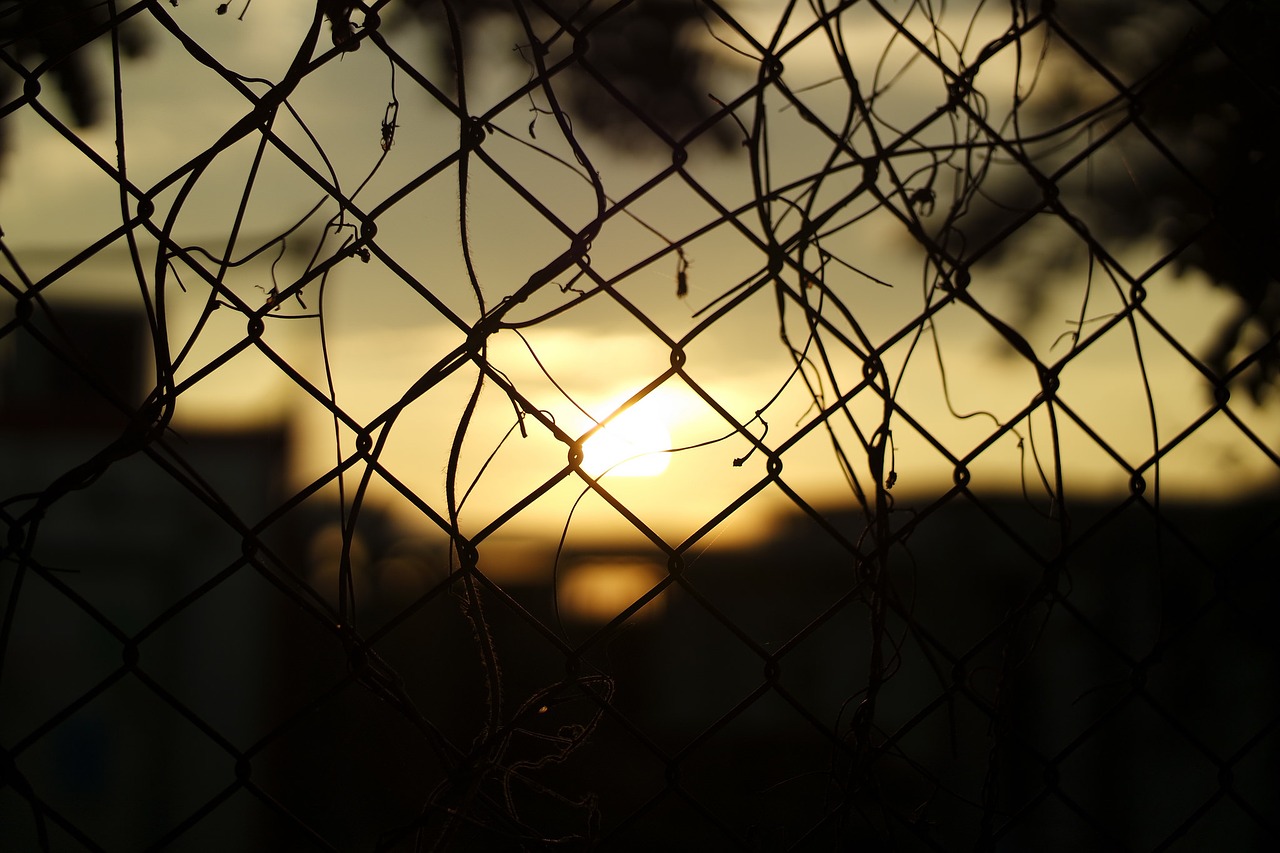 Image - sunset barrier wire dark