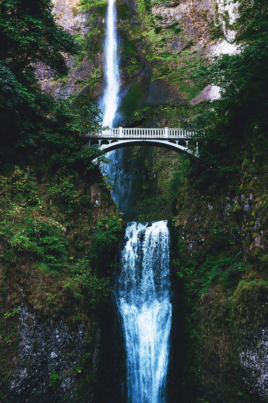 Image - nature infrastructure bridge falls