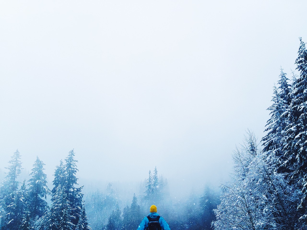 Image - people man guy back alone travel