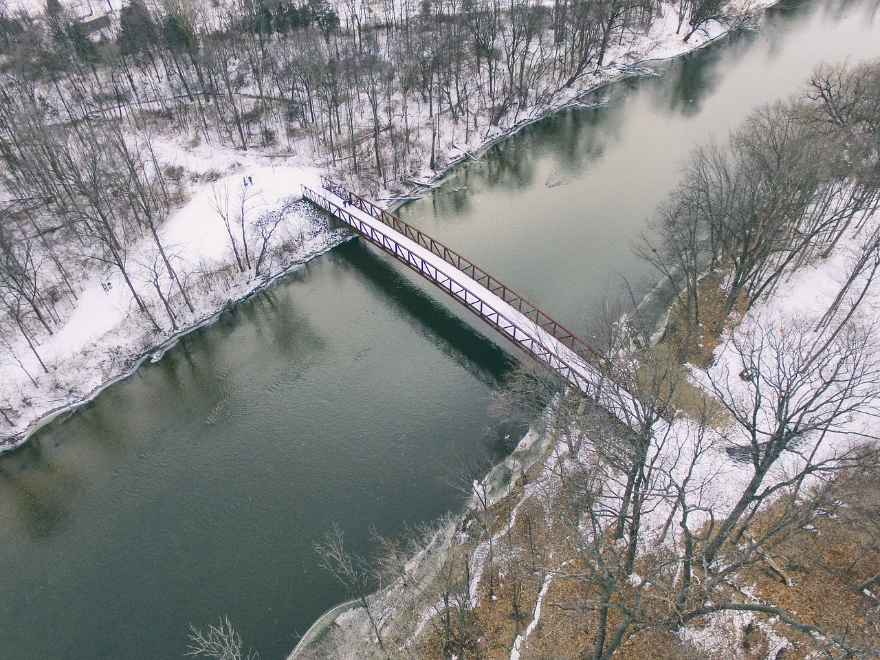 Image - bridge water liquid river trees