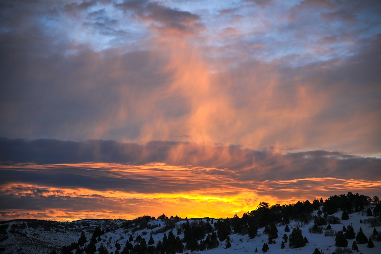 Image - mountain snow pine tree clouds