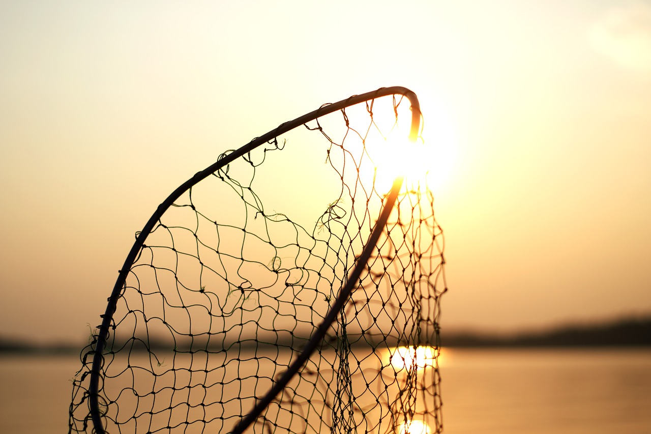 Image - net fishing steel sun water sea