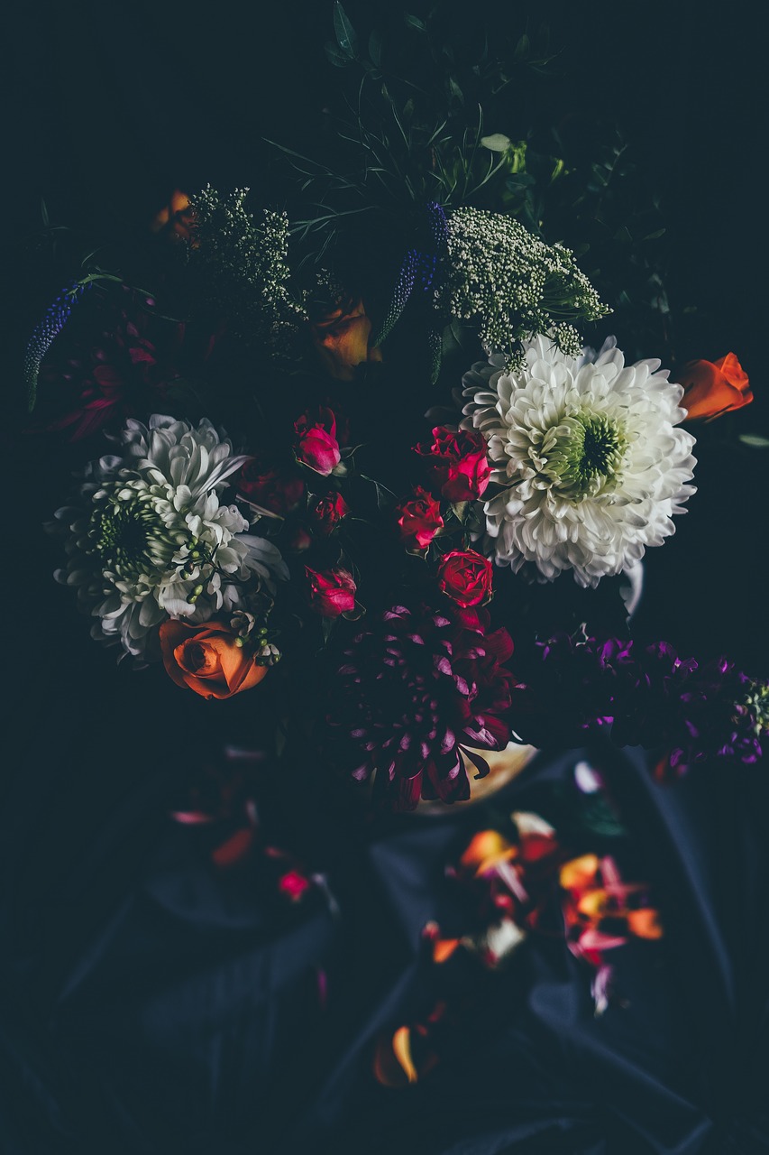 Image - flower nature blossom blur bokeh