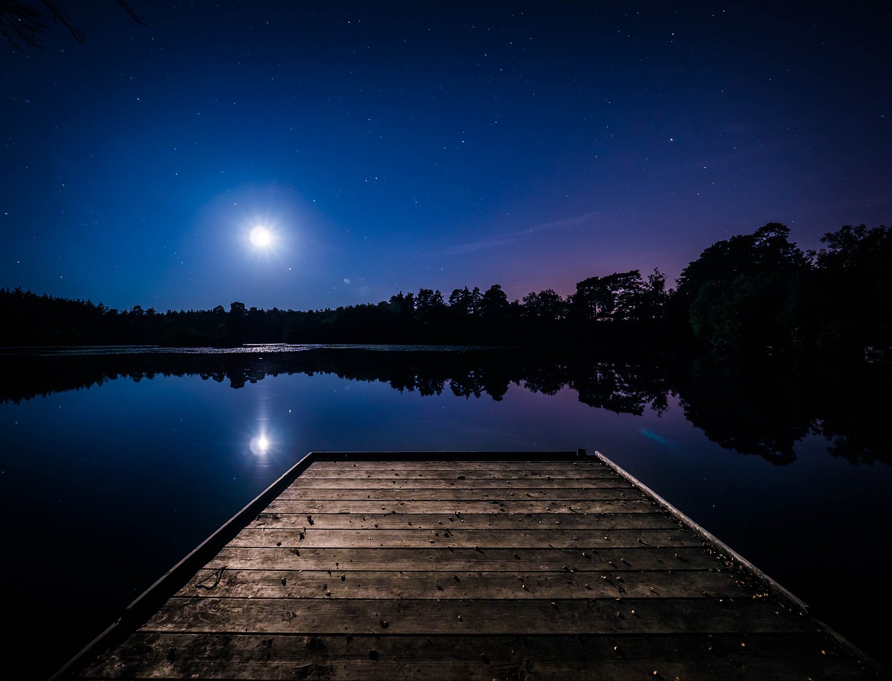 Image - dark night evening nature water