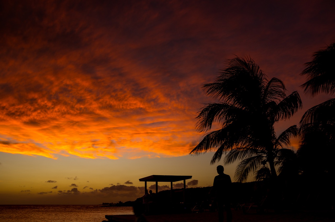 Image - sunset ocean sea beach dark