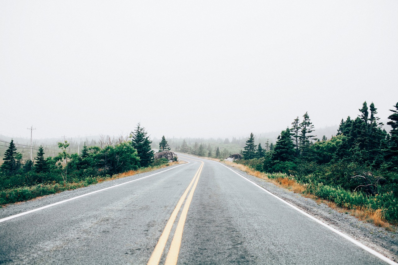 Image - road trees plants lane path fog