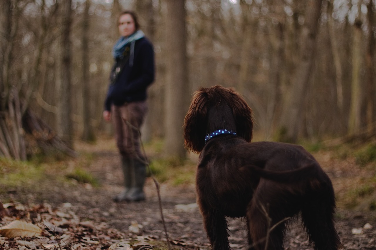 Image - people woman dog animal puppy pet