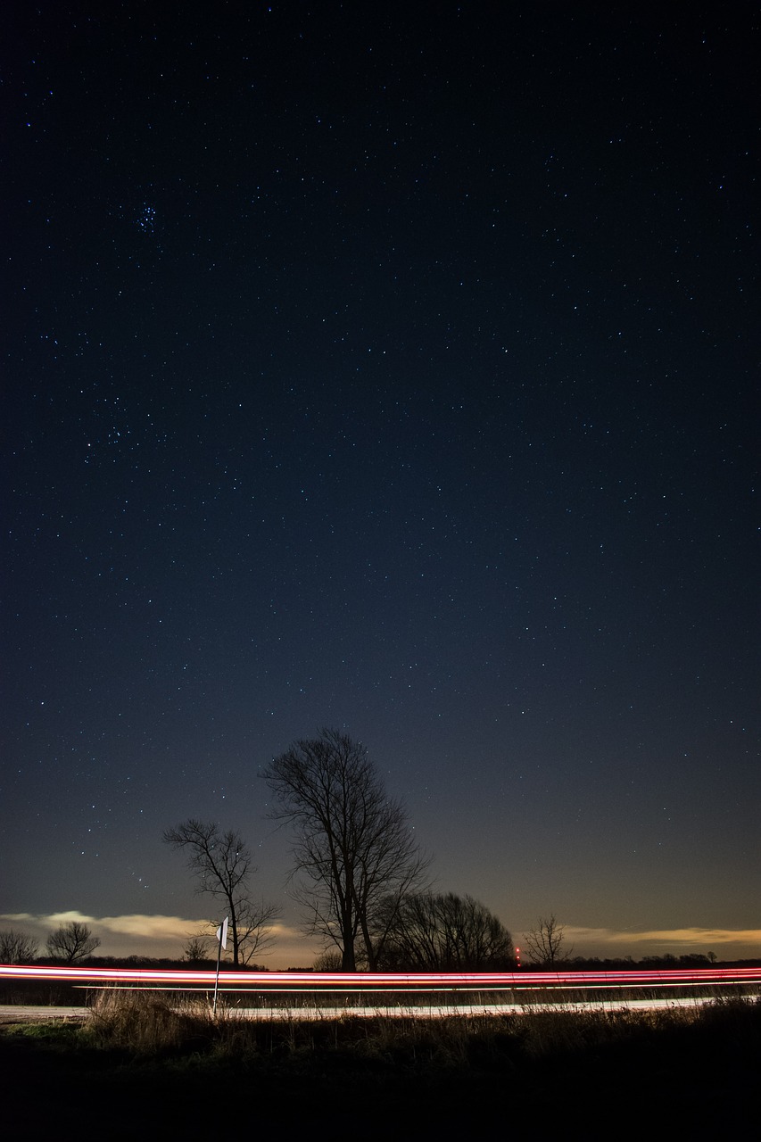 Image - dark night cloud sky trees plant